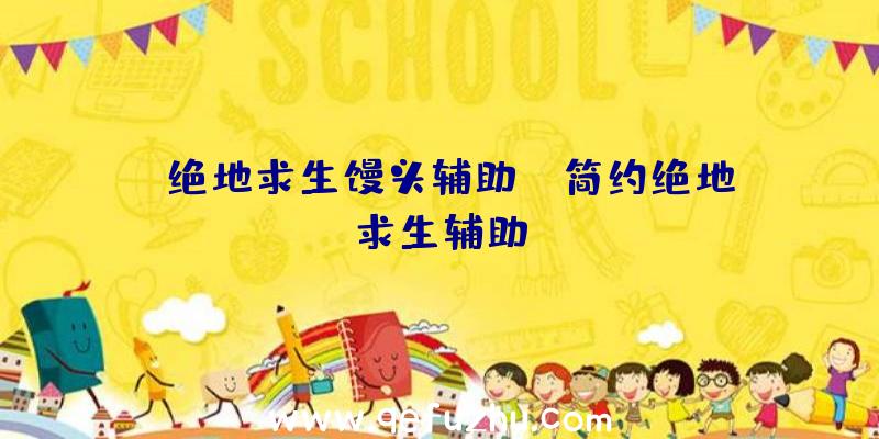 「绝地求生馒头辅助」|简约绝地求生辅助